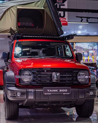 *                                                                                                        TANK 300